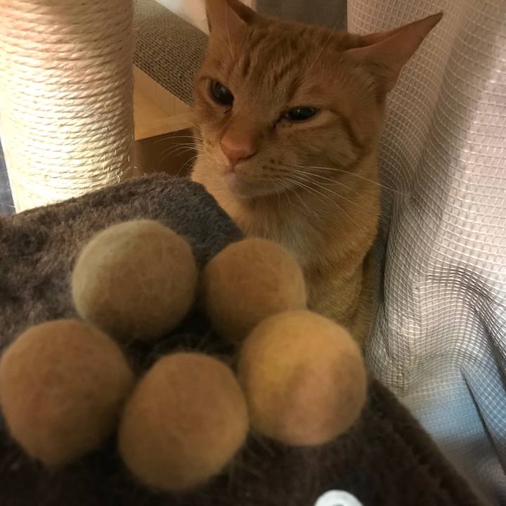 C05d9481 e332 4c80 afc5 7e3eb3d4be0c 1589714566990