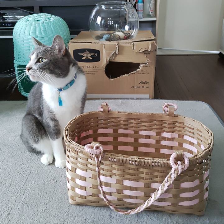 C05da6dd d591 4729 bfe4 348a62838446 1660435104991