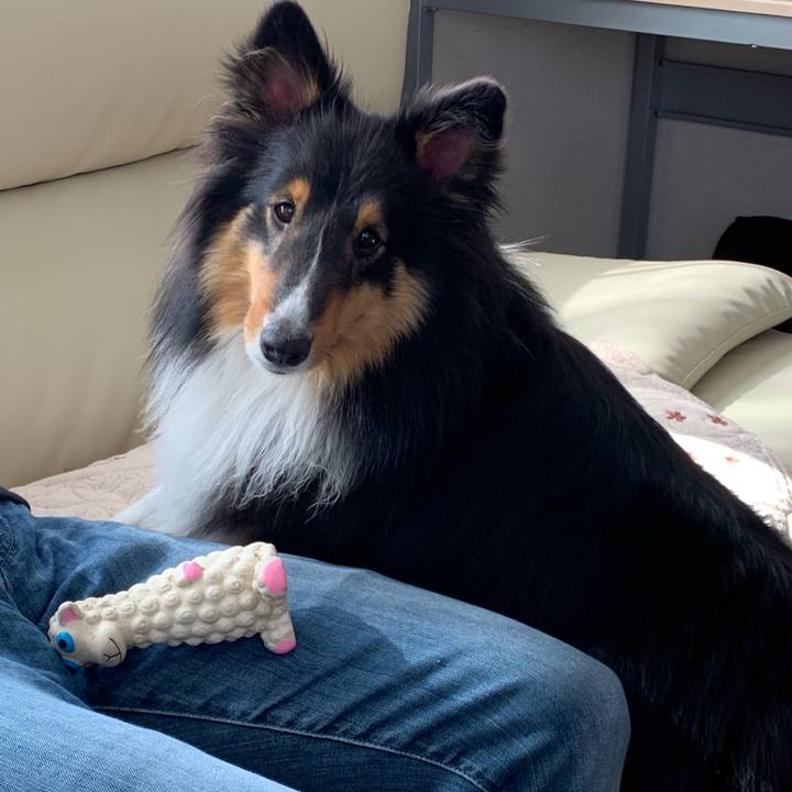 C05db3b0 ca5a 4206 a196 e86d3ba8a55d 1559428758363