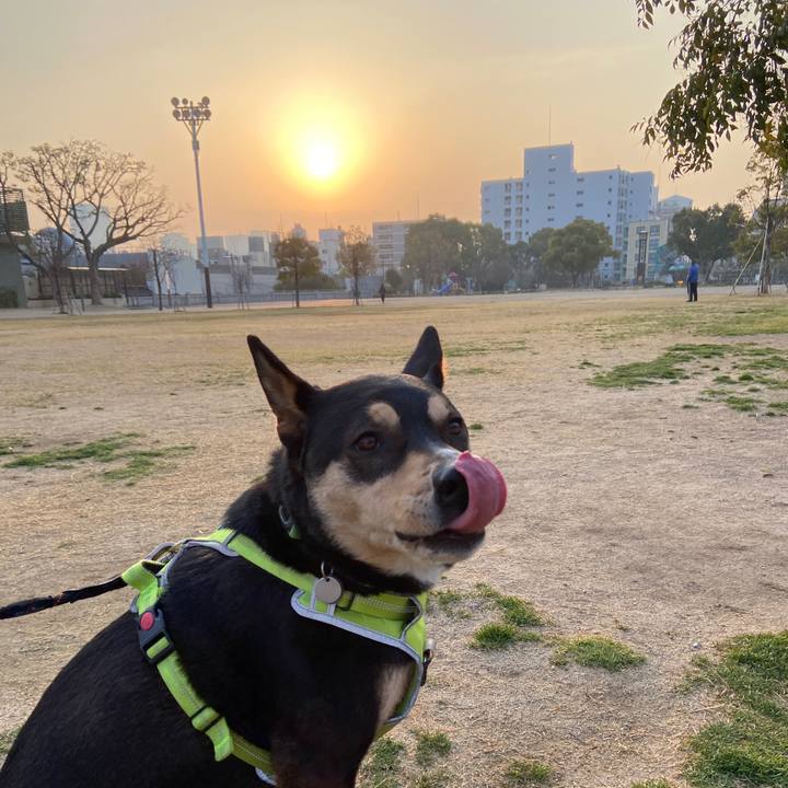 C05dc00f ab12 4fa0 8dfa cbb72e00a6db 1647045220782