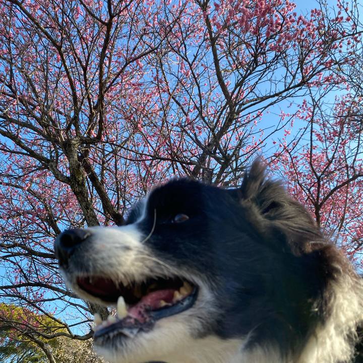 C05dd03b 99a6 4448 af71 75641d428cdc 1677025459410