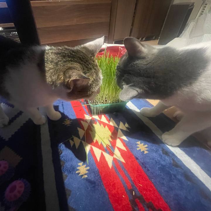 C05df820 1cc8 42b2 999c f4075692bc9c 1632743211098