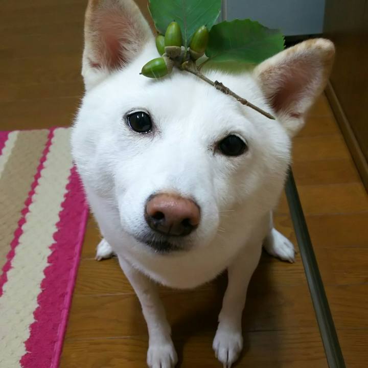 C05e0bc5 2b35 43a0 91db de33f687817c 1537534021838