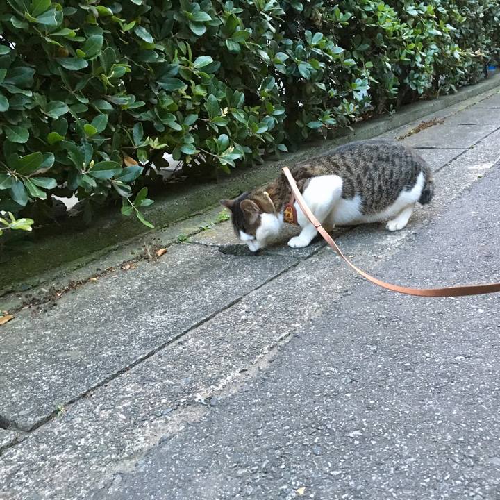 C05e3ac1 0129 4e8b af5e 5fb1322303cc 1530079912948