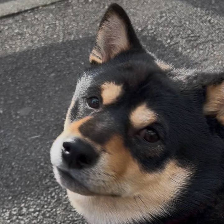 C05e3e38 4c87 41ce 895e e27bb8430089 1743819672663