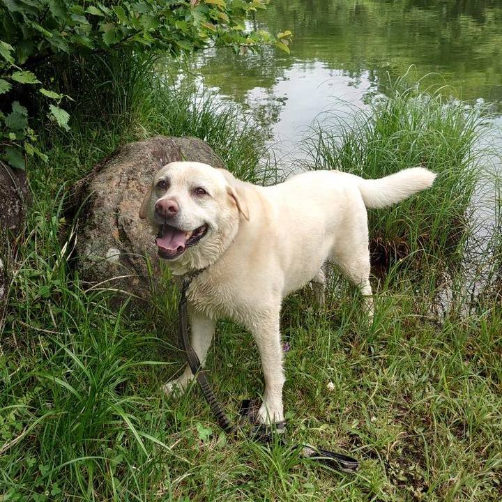 C05e5554 5a92 4b3b 97fa 18eb2acc96f2 1751422997178