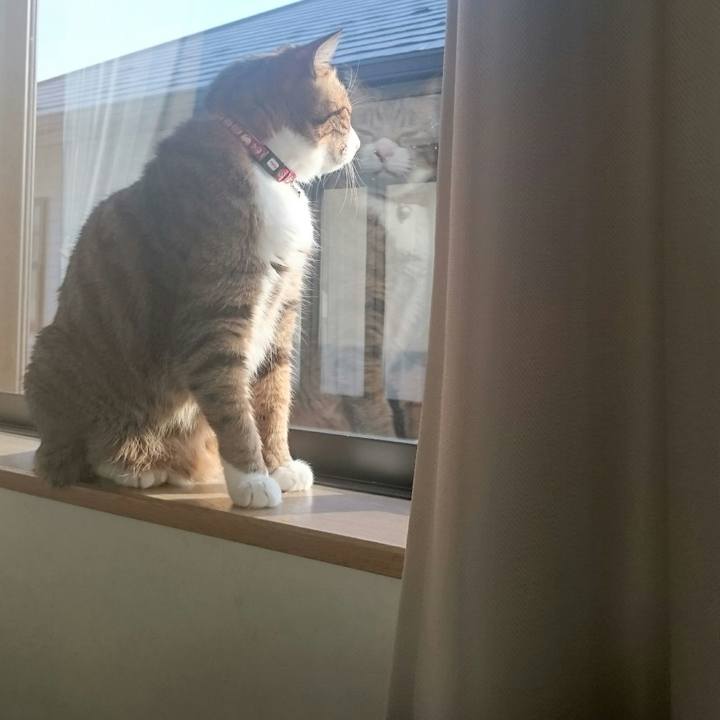 C05e96e0 98e3 4c3f ac62 8d38e1470a40 1525774643182