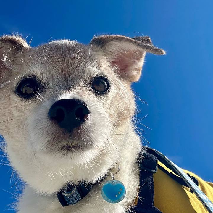 C05ea24b b855 4e29 a232 64848456d242 1762220404212