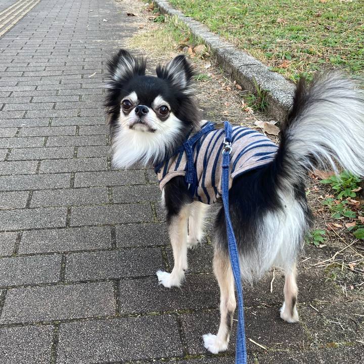 C05eaeb5 ab37 4ba0 a5de 1c32d66ffd1d 1637415751898