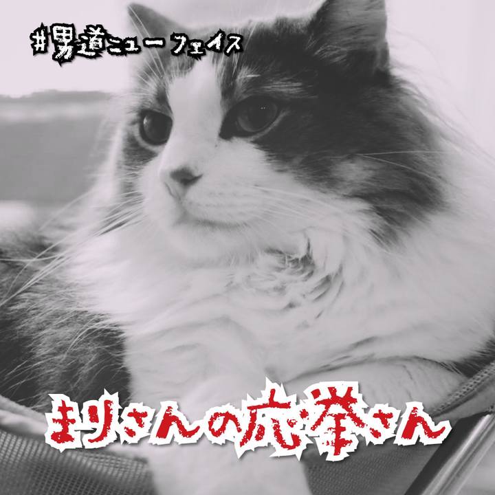 C05ecfb8 c819 420e a7ac 31a415c2f5f5 1566567059719