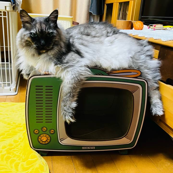 C05ee675 3415 4785 a5d8 3ffb6beb1216 1738927340456