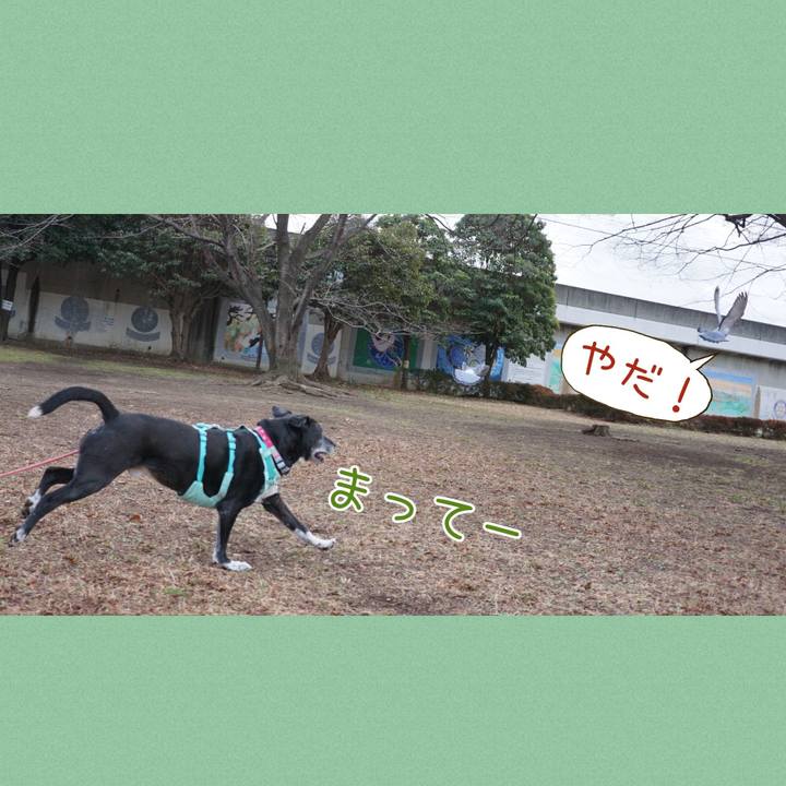 C05efa55 6054 4895 8f31 75c764580e54 1772757136835