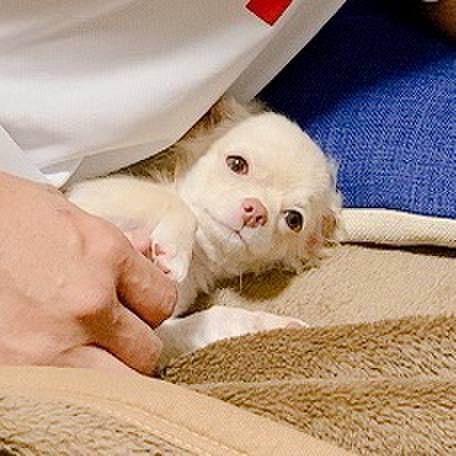 C05f0050 3756 4054 aaeb 802b2c1b5709 1592691785914