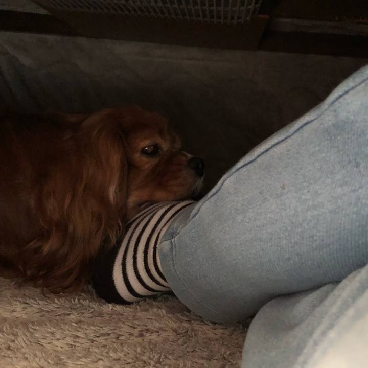 C05f2959 226c 43b7 a178 21ae45fcfa47 1641335141937