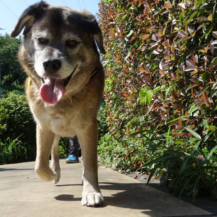 C05f4c6b 0b5c 4c0d 9901 6f564177ba31 1558832354156