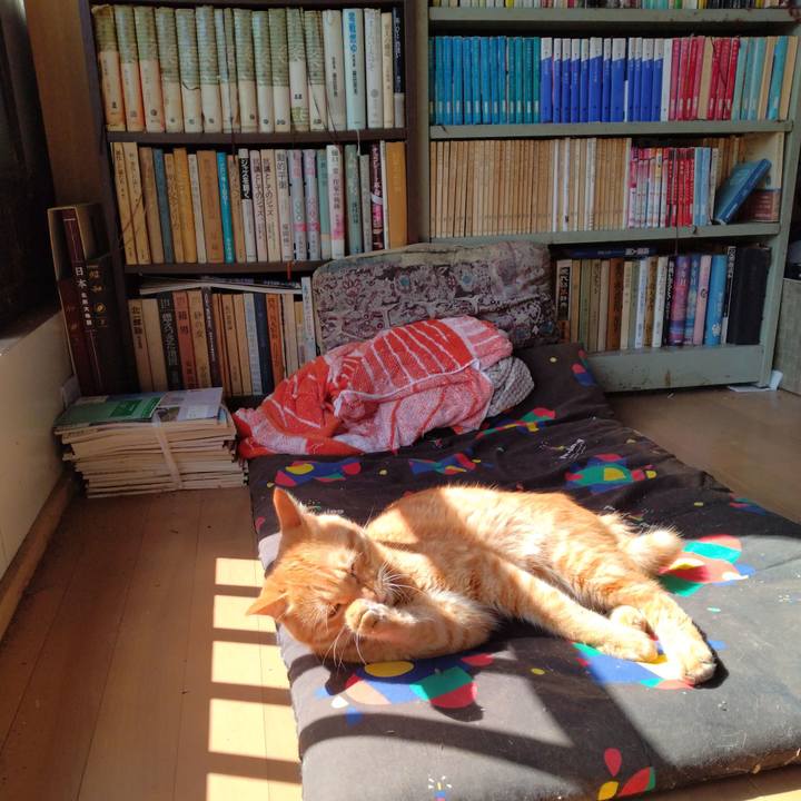 C05f709d 0d8a 4ec2 be9e ea3220fa70b4 1665201709962