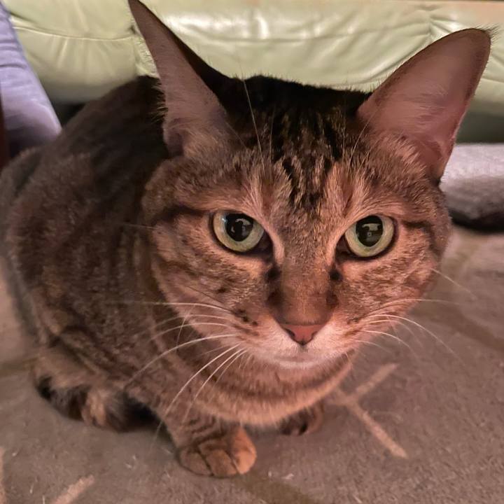 C05fa45e bd1e 434c b155 95d05cb8a329 1696298874860