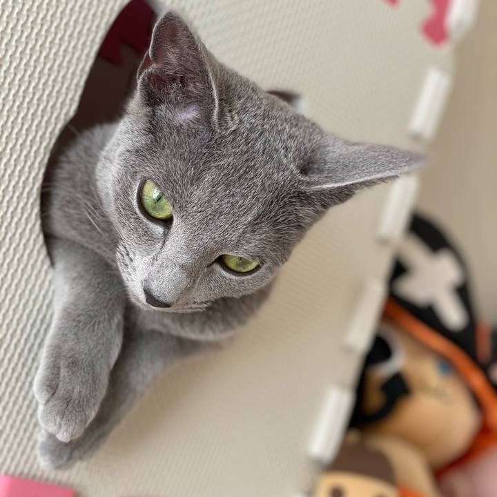 C0603c41 d735 474f a928 e3b9ed506fa5 1608097963549