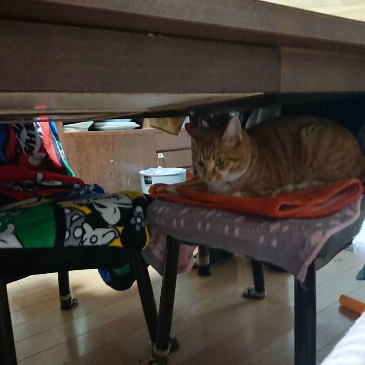 C0604e83 6590 48b3 88e0 04d5d90d0aa2 1606640402923