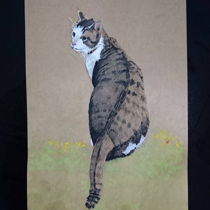 C06066c3 ea04 4739 b460 0be1e6eac411 1520346087137