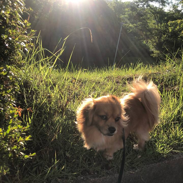 C06096e2 81f1 4bcb 9bb9 e64cc4c291a3 1534455348914