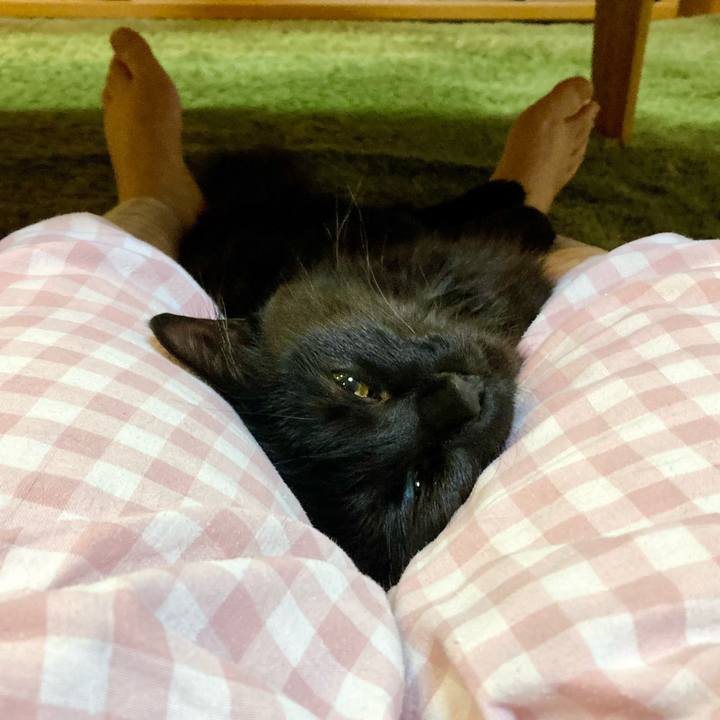 C060c915 f823 488e bf17 e746d05a0fbb 1747134030078