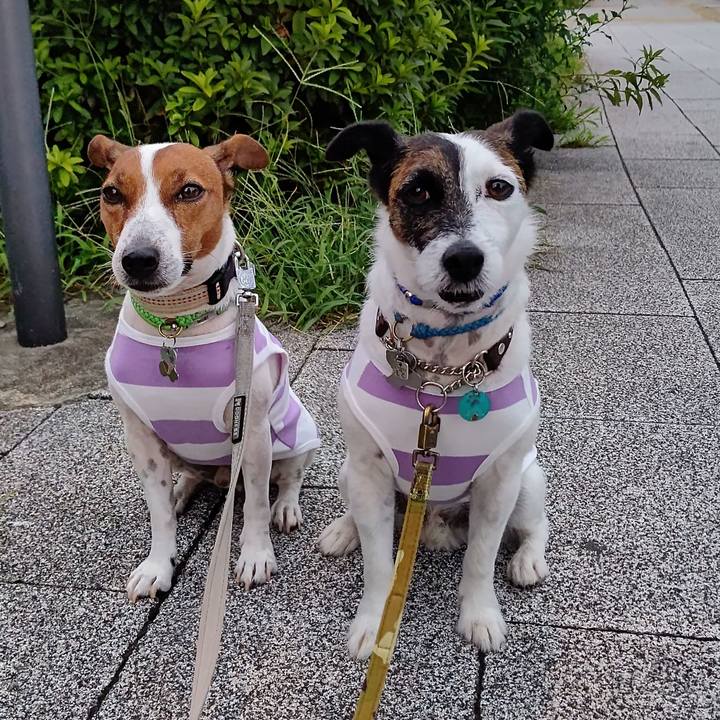 C060d6dd a577 48d5 9e81 d63506621bd5 1659561666828