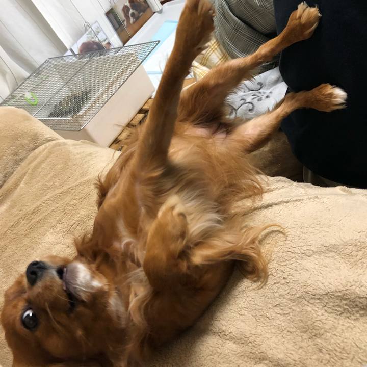 C0610b1e 5795 4dc2 a92b 7081308d80fa 1552394362187