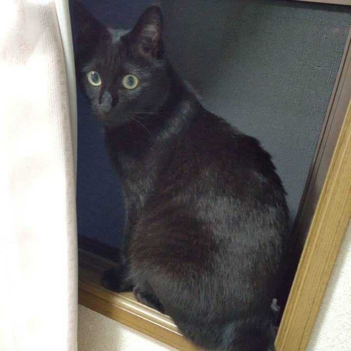 C061a0a9 b609 4a88 b195 59087759b675 1690194976574