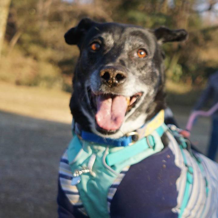 C061b396 fdd8 4688 aa87 1eff7d1891d7 1770253858978