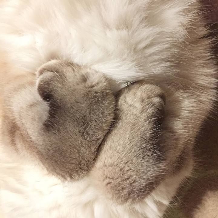 C061b6bf 4350 4628 a95d fca91fb537b5 1577451980907