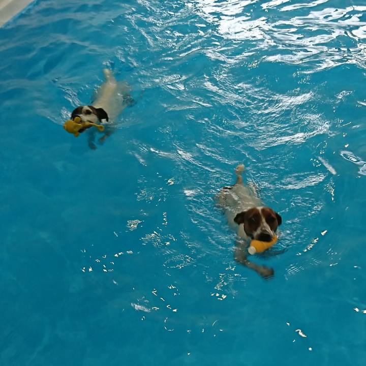 C061b7ca 83c8 4ef6 b860 d2e892c6ec03 1607227962767