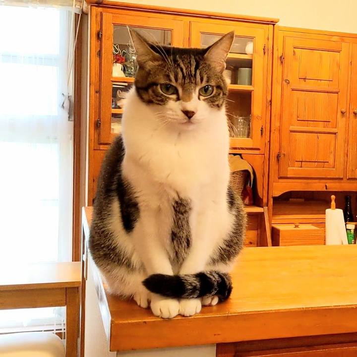 C061e30b 4786 409b 88f3 78119ccfd78c 1761606900395