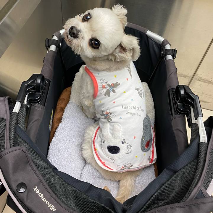 C0620c0f 9013 4be7 b612 b6a9c670e138 1669201902251