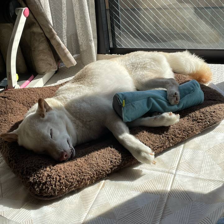 C06213c3 55d1 48f2 93b1 abf351308794 1637674985479