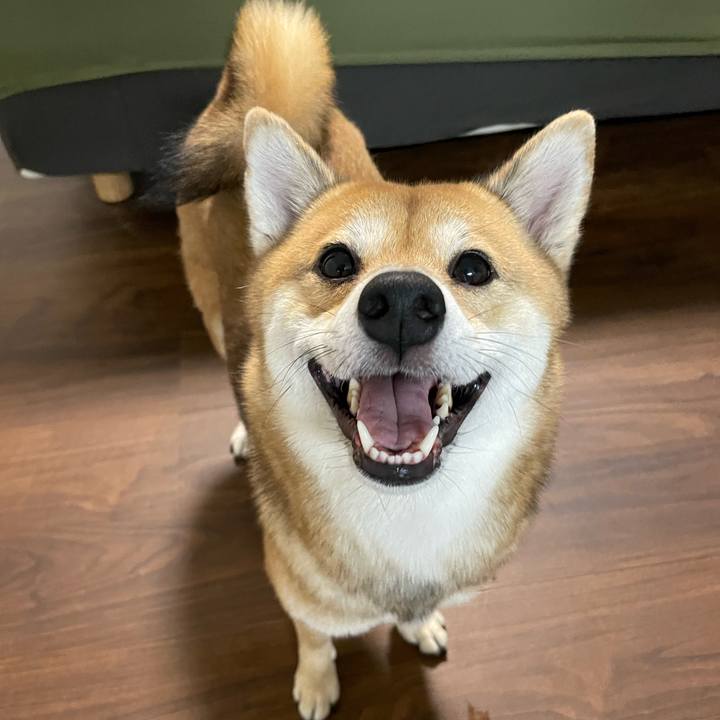 C0622f12 649b 4d2e a04d 529cfb3aa1fe 1699449919434