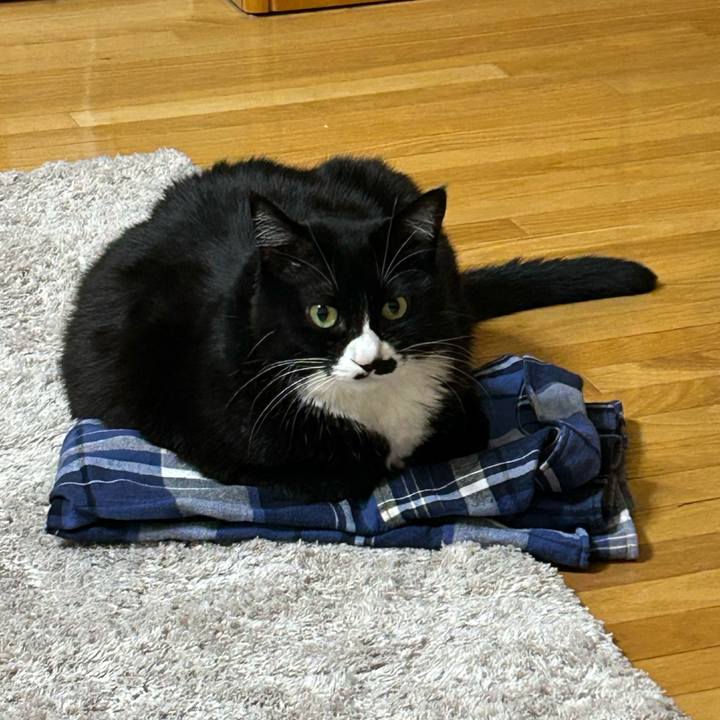 C062375c ca30 4d2a b6d9 62a42b09224f 1767791712168