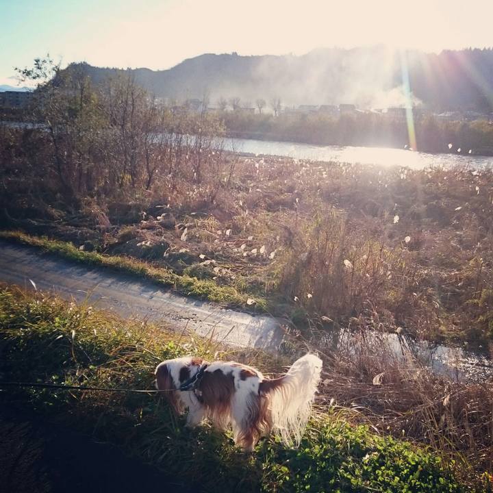 C06249ef 073d 4a2e 957f 4a8875244666 1512218966004