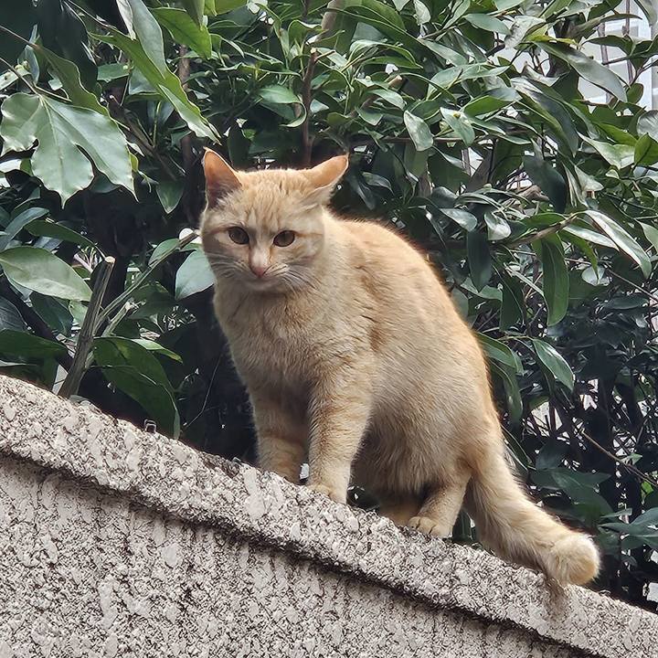 C0626463 4a3d 4941 8435 911a33b2b656 1709161050369