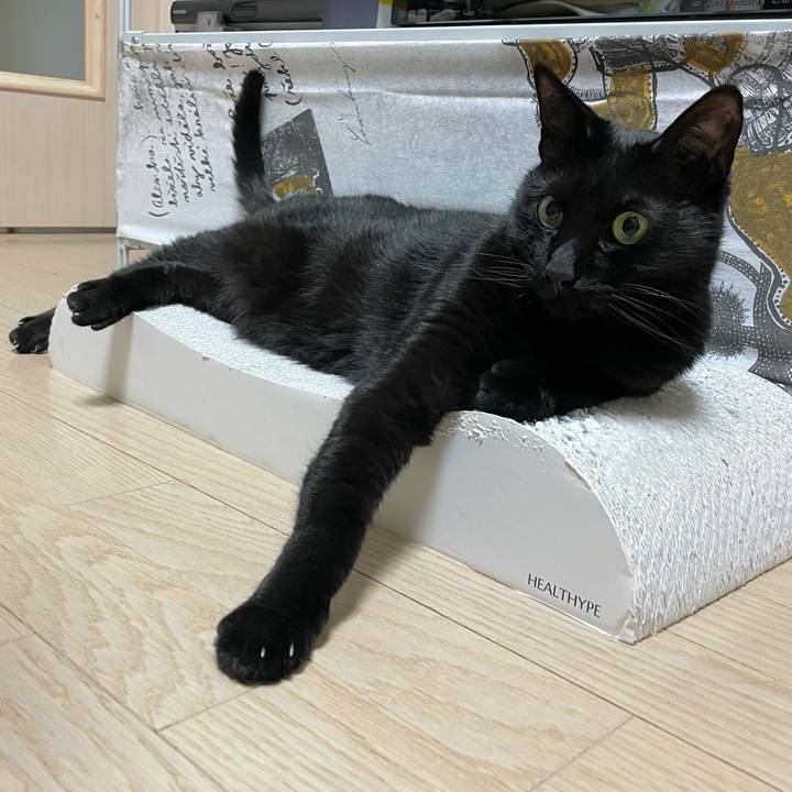 C0627062 1157 4c77 93b5 0b1999582c0b 1647783581218