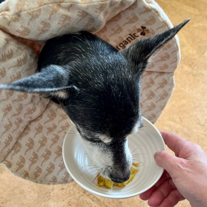 C062a9be 475f 4f95 9c7a 2b8047763cf0 1644634634868