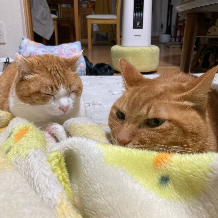 C062f9d3 22f4 4c80 950a ea38c5121626 1771681634058