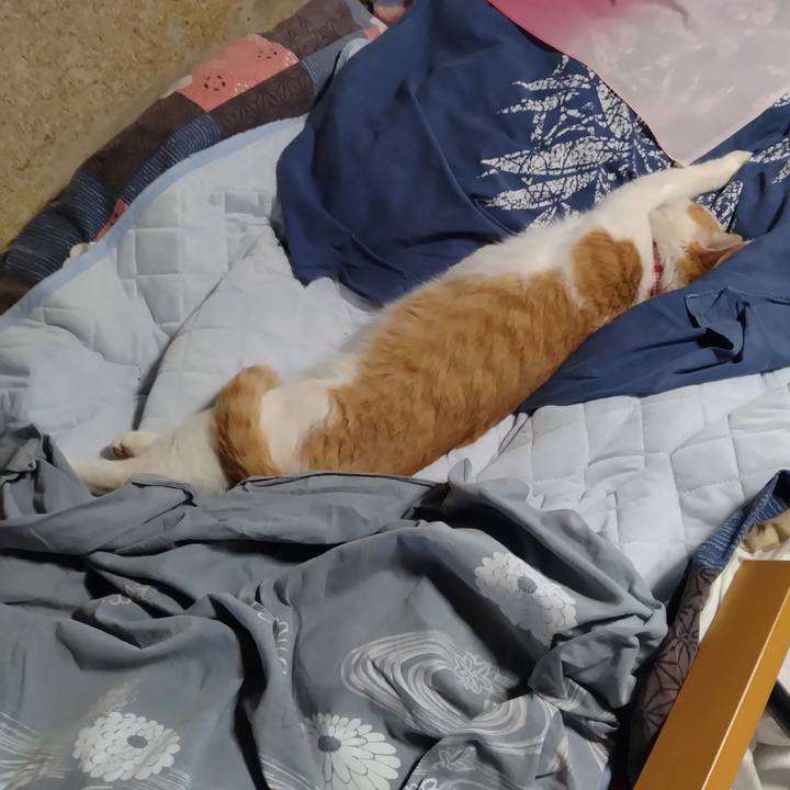 C062f9e2 16a3 4f87 995a 61eb34995b60 1749200558026