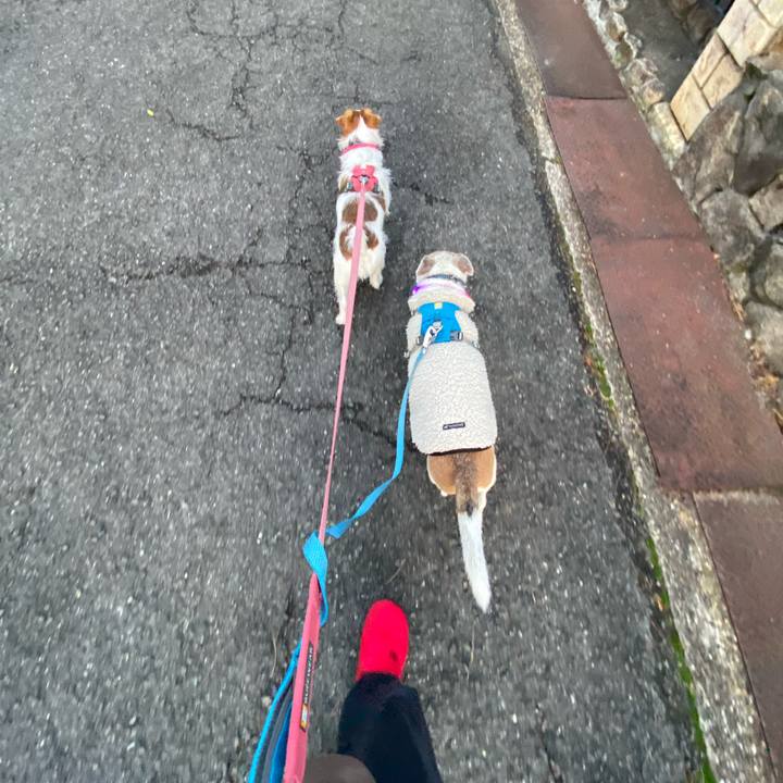 C0630358 038c 4aae 9a16 9474c2b073e2 1707347178773