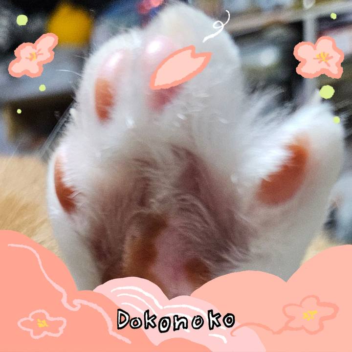 C0631ec0 3d86 4316 af34 a3e9513bfa72 1775216549697