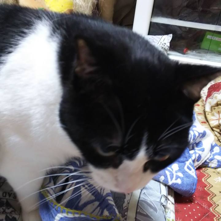 C0634305 85ef 415c abd6 1af1f180d112 1567547548713