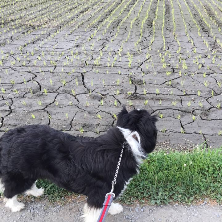 C0636e82 ada2 4503 a49c b2818034a56a 1561502952383