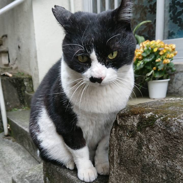 C063752f 5bec 4871 9490 1ce1226bcbe4 1546755027299