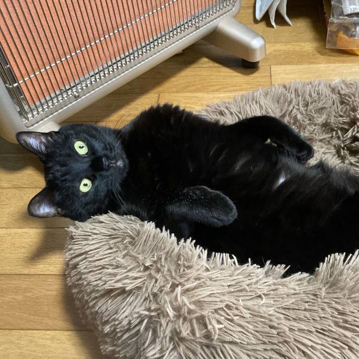 C0639f21 4a59 4050 b03a 5890f52ba7f8 1684131827837