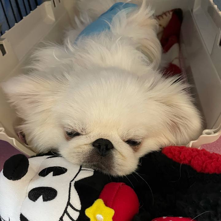 C063fc02 69b9 4a4e b3fe 309e96106424 1642766270777